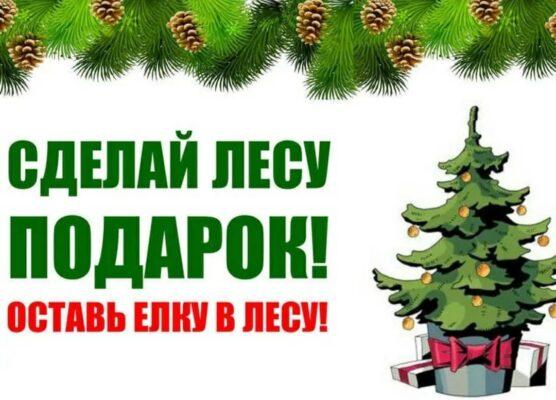 Сделай лесу подарок!.