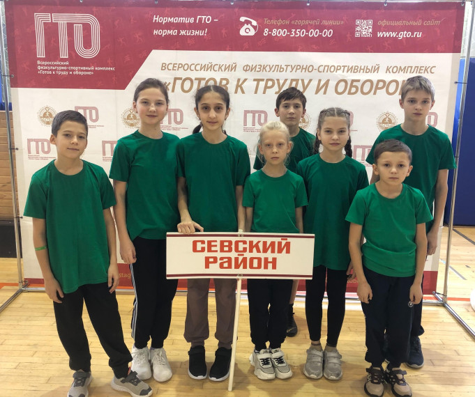 Региональный этап Всероссийского фестиваля ВФСК ГТО. Региональный этап Всероссийского фестиваля ВФСК ГТО.